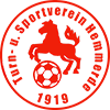 Turn- und Sportverein 1919 Hemmerde e.V.
